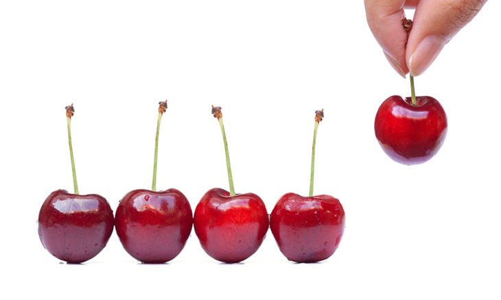 chery-picking-730x438